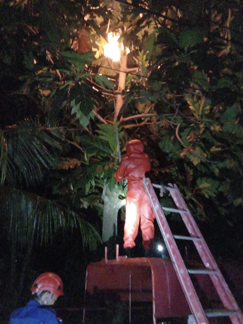 WhatsApp Image 2021-07-05 at 10.37.15