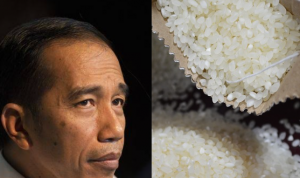 Jokowi berencana impor beras dari China (kolase)