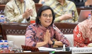 Menteri Keuangan Sri Mulyani Indrawati (instagram.com/smindrawati)