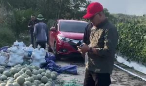 Wakil Ketua DPRD Kaltim, Muhammad Samsun