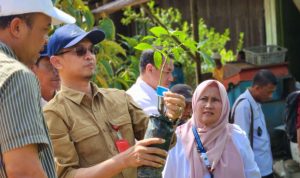 Dinas Perkebunan Kalimantan Timur serahkan bantuan bibit karet dan pupuk kepada kelompok tani di Kukar (dok: Disbun Kaltim)