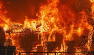 Api membakar bangunan di Los Angeles, California (dok: @/losangelesvibes)