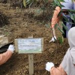 PT Indexim Coalindo berkolaborasi dengan Pemerintah Desa Bukit Makmur menggelar kegiatan Tanam Pohon massal (Dok: teras)