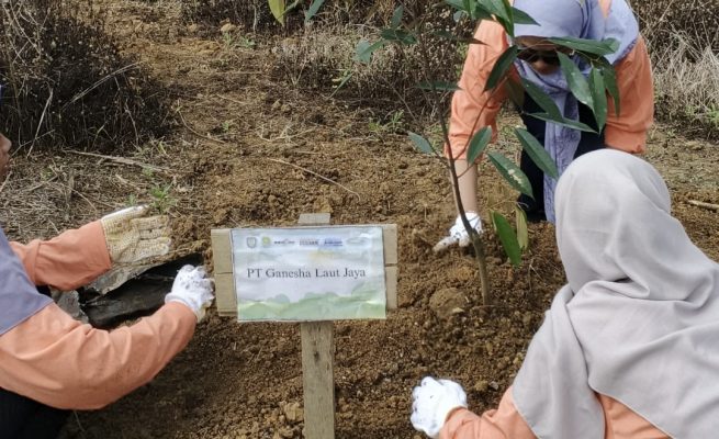 PT Indexim Coalindo berkolaborasi dengan Pemerintah Desa Bukit Makmur menggelar kegiatan Tanam Pohon massal (Dok: teras)