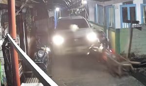 Penabrak motor di Samarinda (dok: ist)