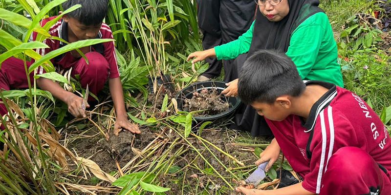 teraskata - kebun toga SDN 009 Bontang Selatan