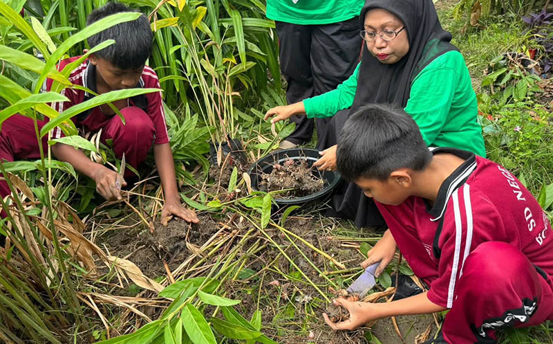 teraskata - kebun toga SDN 009 Bontang Selatan