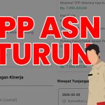 ilustrasi TPP ASN